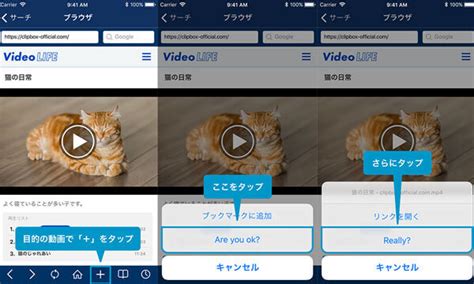 memojav downloader|Download and Save VJAV videos: Quick & Free, No Installation!.